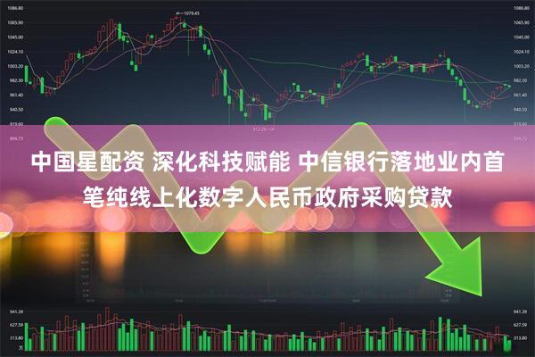 中国星配资 深化科技赋能 中信银行落地业内首笔纯线上化数字人民币政府采购贷款