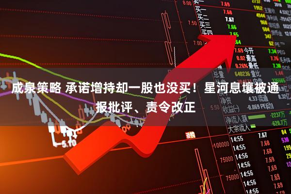 成泉策略 承诺增持却一股也没买！星河息壤被通报批评、责令改正