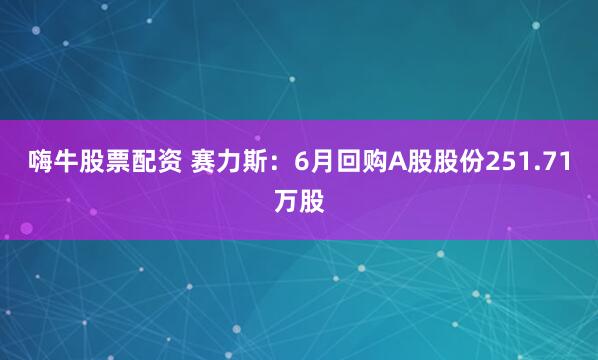 嗨牛股票配资 赛力斯：6月回购A股股份251.71万股